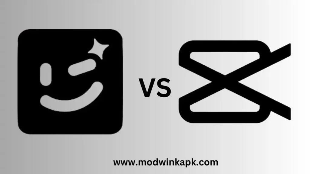 Wink vs CapCut